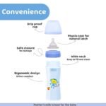 Chicco Well-Being Baby Coloured Feeding Bottle, Advanced Anti-Colic System, BPA Free, Hygienic Silicone Teat, Milk Bottle for