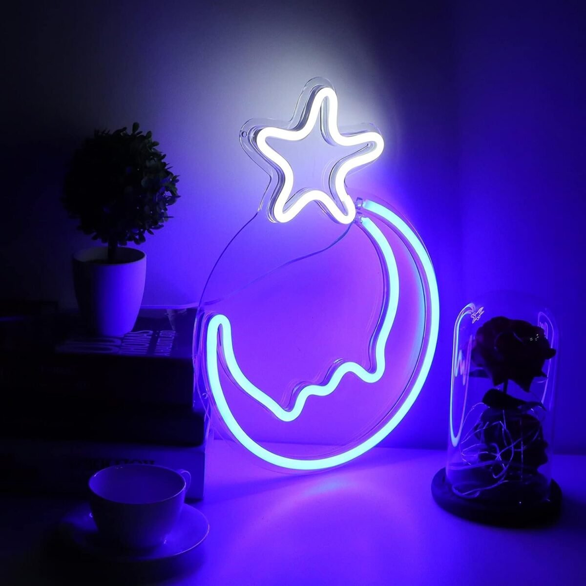 OMI Decorative Light, LED Neon Sign Moon Star Pattern for Pavilion for Home for Entrance Hall for Office'||