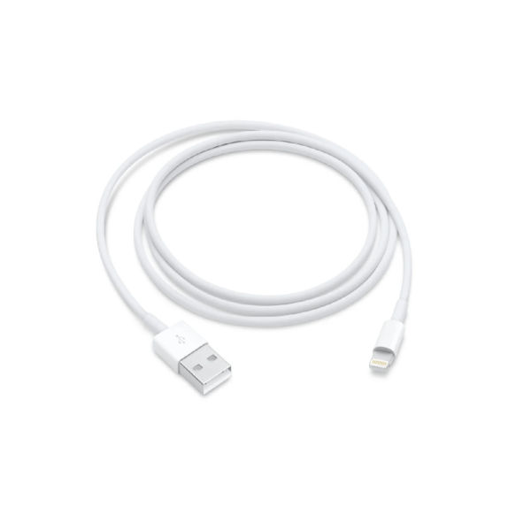 Apple Lightning to USB Cable (1m)