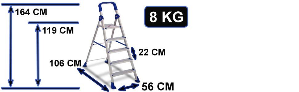 LADDER