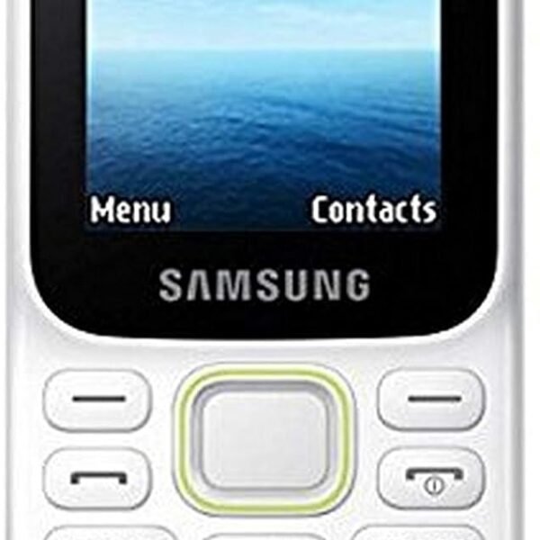 Samsung Guru Music 2 SM-B310E (White)