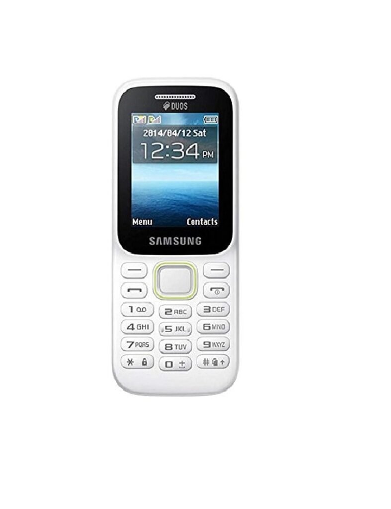 Samsung Guru Music 2 SM-B310E (White)