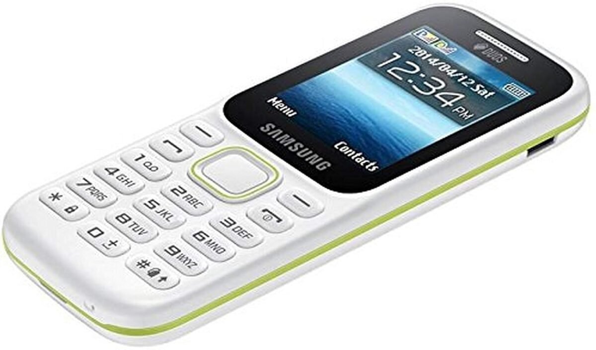 Samsung Guru Music 2 SM-B310E (White)